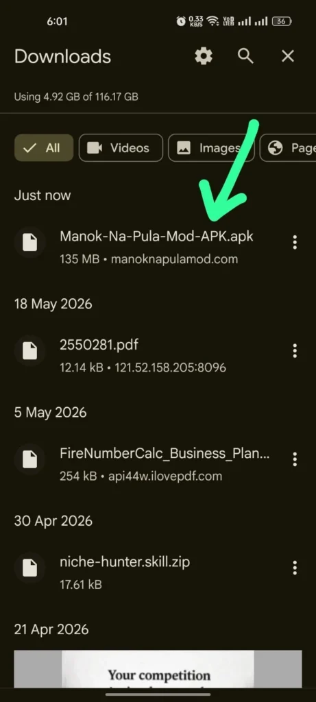 Chrome Downloads list showing the downloaded Manok-Na-Pula-Mod-APK.apk file ready to open